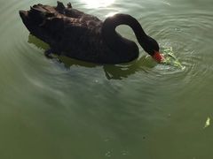 -无锡动物园·太湖欢乐园