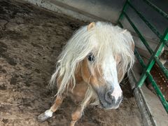 -瑞博尔花园酒店(太周创新产业园店)