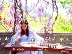 -龙口南山旅游景区