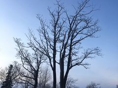 -亚布力新体委滑雪场