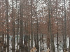 -三圣花乡旅游区