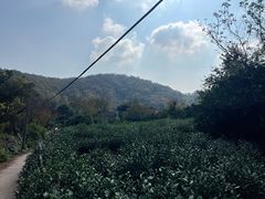 -南北湖风景区