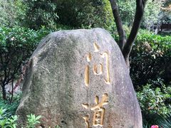 -十八棵（老龙井）御茶园(老龙井店)