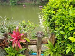 -深圳仙湖植物园