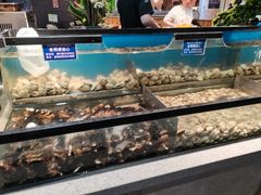 -遇上西雅图多融合海鲜自助餐厅(中房金谊广场店)