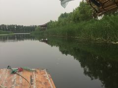 -白洋淀景区