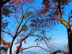 -广州市石门国家森林公园