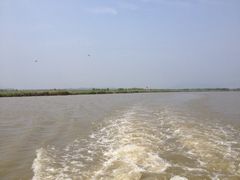 漩门湾国家湿地公园-漩门湾国家湿地公园