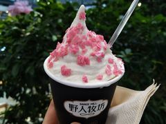 -野人先生现做冰淇淋(西安赛格店)