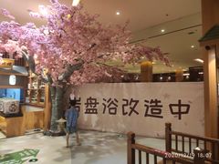 -大江户·温泉洗浴(浑南店)