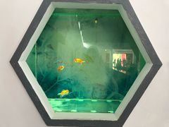 -北戴河圣蓝海洋公园