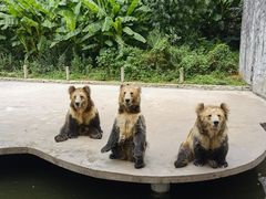 -贵州森林野生动物园
