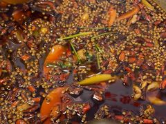 -味之绝热血美蛙鱼火锅(中坝店)