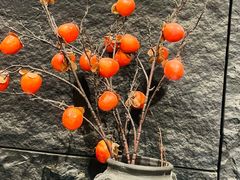 -庆云楼饭庄(什刹海店)