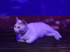 -星宿秘码(鼓浪屿老店)