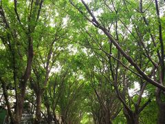 -广东财经大学(广州校区)