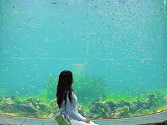 -海合安成都极地海洋公园