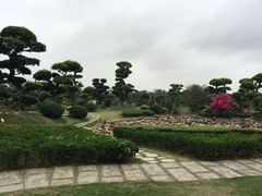 -南宁南湖公园