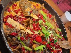 -老板恋上鱼(高新万达店)