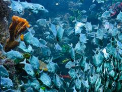-海合安青岛极地海洋公园