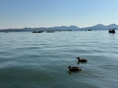 -摇橹船上船码头