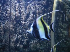 -北戴河圣蓝海洋公园