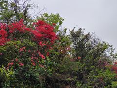 -穹窿山景区