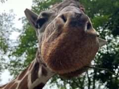 -勇誌烧肉·焱铁烧