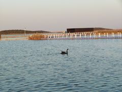 -南大港湿地风景区