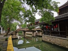 -鲁镇