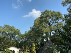 -南山植物园