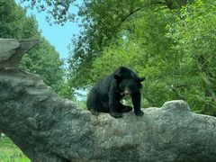 -北京野生动物园