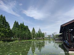-渤公岛生态公园