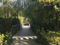 景点-尚贤河湿地