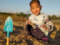 -上海都市菜园