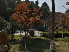 -广州市帽峰山景区