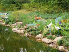 -上海共青森林公园