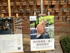 -远山有窑