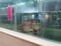 水产区-南庄酒家·海鲜粤菜·25年老字号(环城南路店)