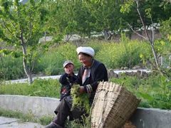 -叠溪松坪沟景区