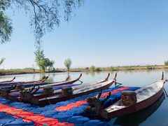 -东方巨龟苑景区