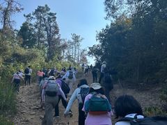 -青龙山国家森林公园