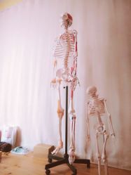 -FineYoga梵音瑜伽·普拉提