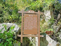 -阳台山自然风景区