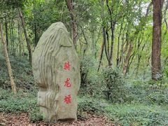 -上海佘山国家森林公园天马山园