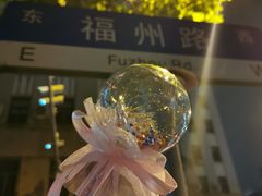 -黄浦江游览快线(金陵东路码头)