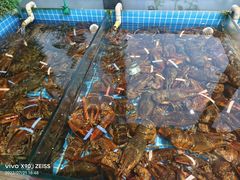 -渡海小渔村.老辈日照菜