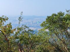 -紫金山山顶公园