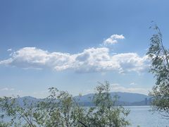-洱海月湿地公园