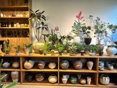 -自由生长植物工作室(深港花卉中心店)
